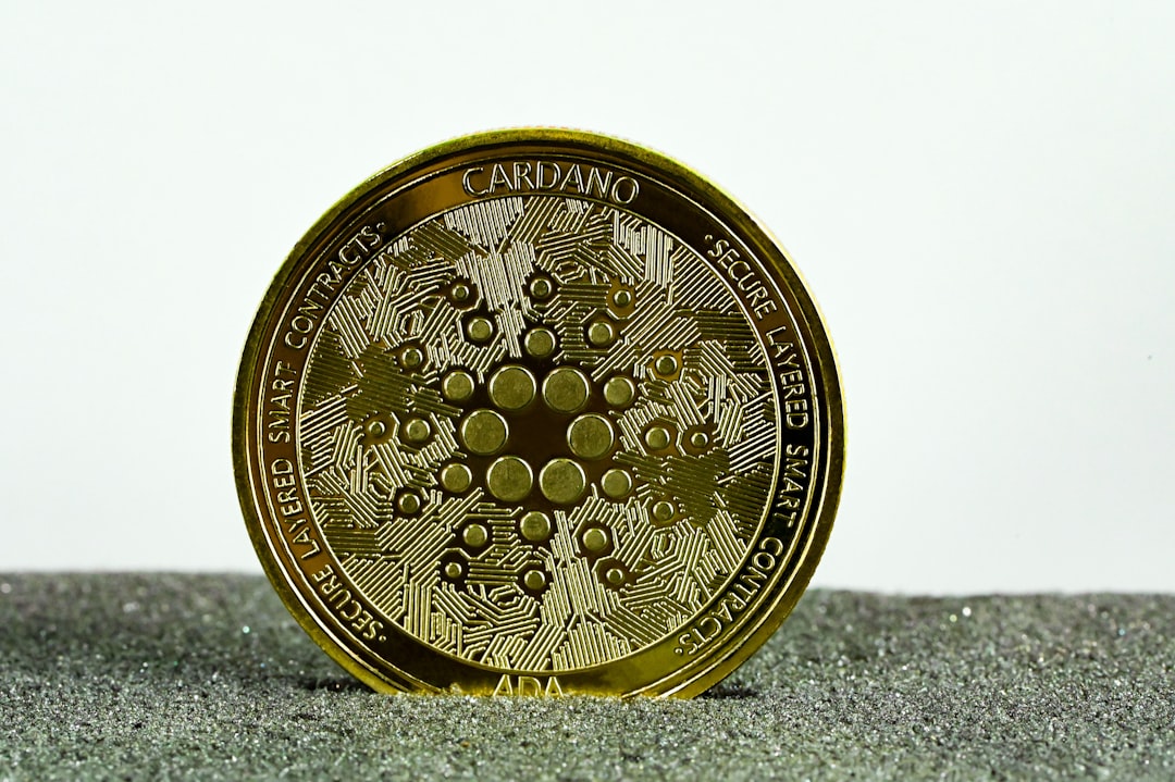 Anonymous Bitcoin Wallets: Protecting Your Privacy in the Crypto World
