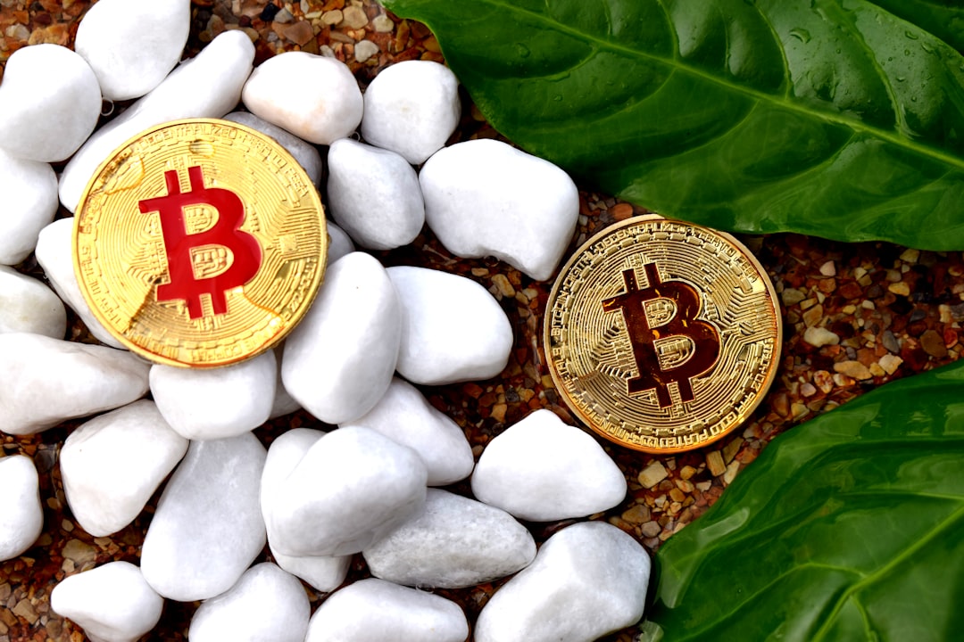 Bridge Exploit Vulnerability: Protecting Your Crypto Assets