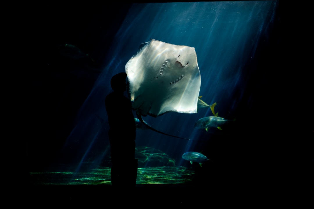 Manta Pacific Layer: Revolutionizing Privacy in Web3