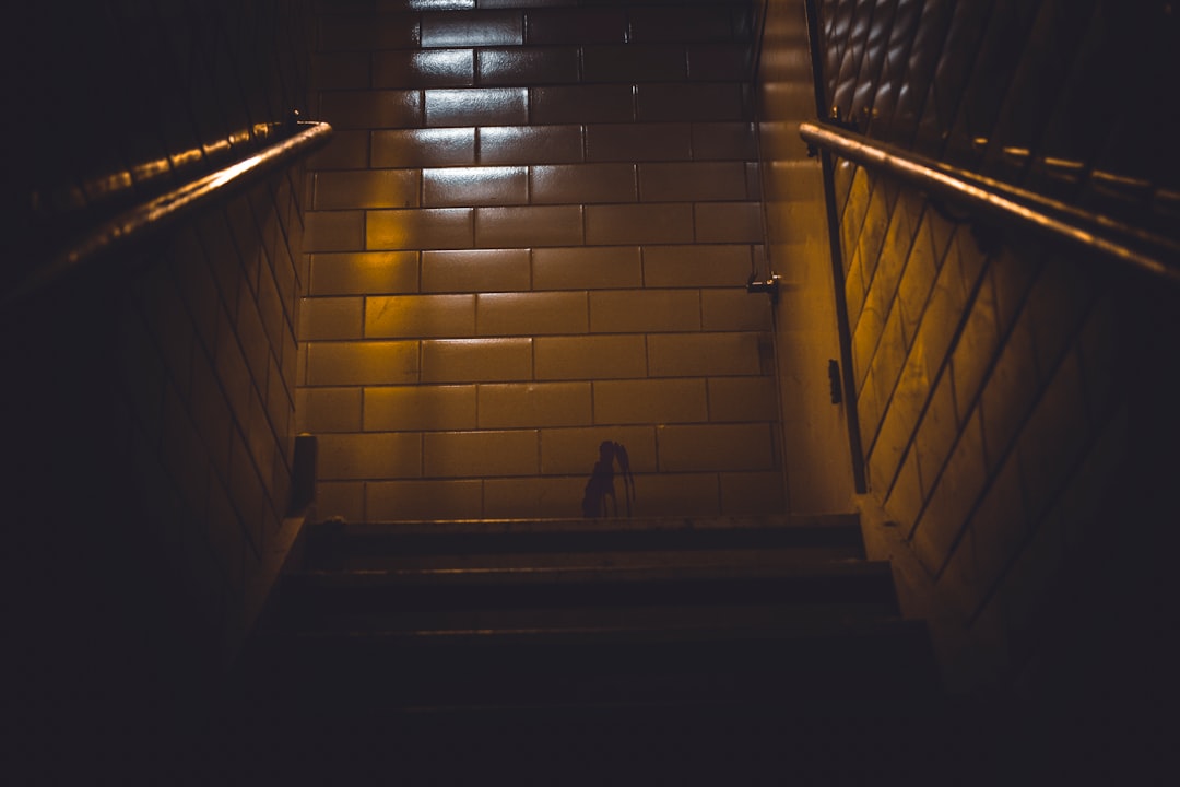 Private Crypto Mixers: Ultimate Guide to Anonymous Transactions