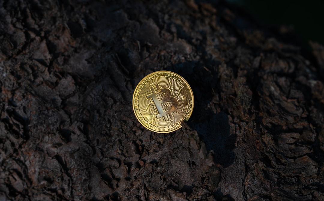 User Agent Spoofing: Enhancing Privacy in Cryptocurrency Transactions